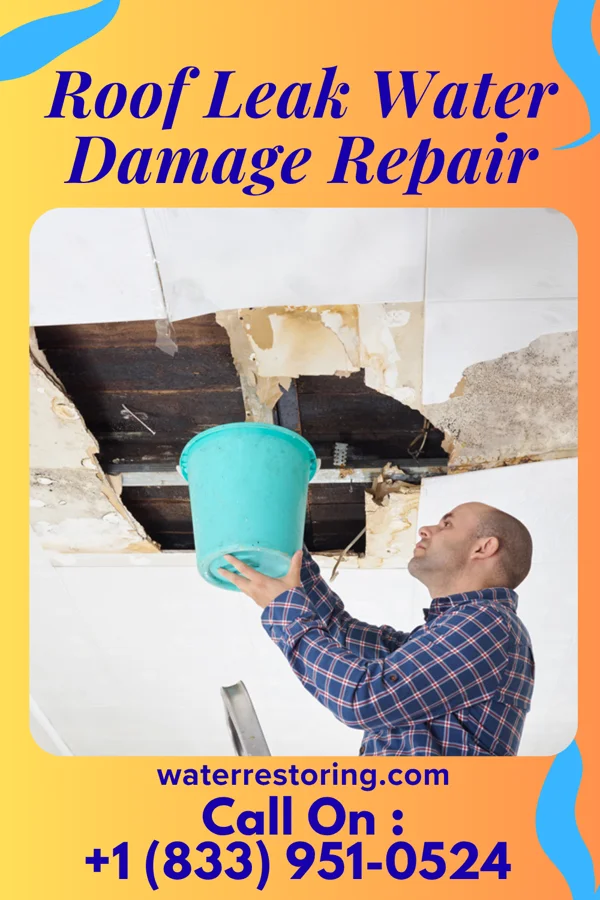 Roof Leak Water Damage Repair in Bangs, TX